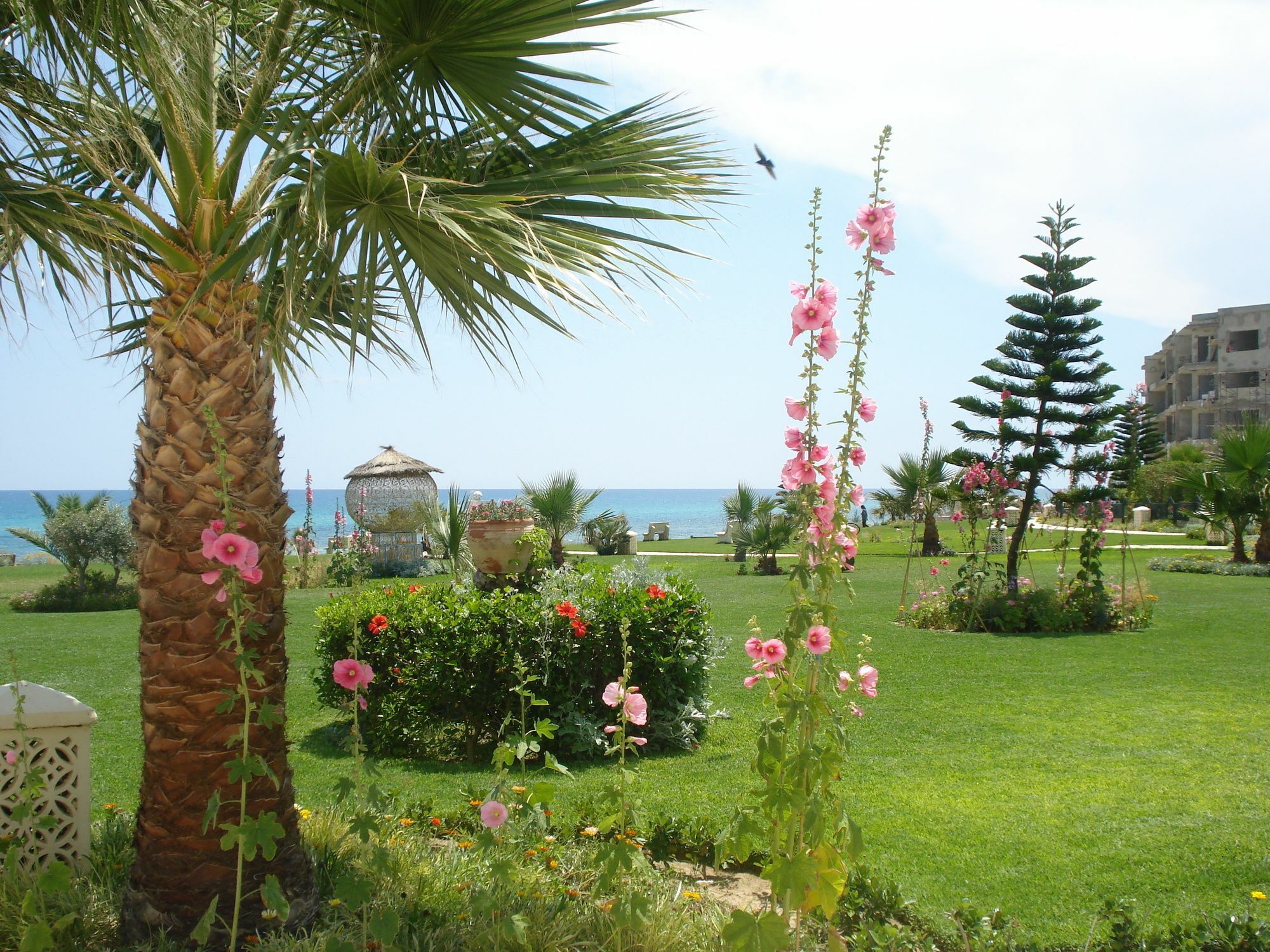 B&B Cote D'Azur Хаммамет Экстерьер фото